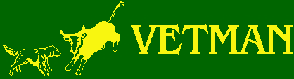 elain_vetman.gif